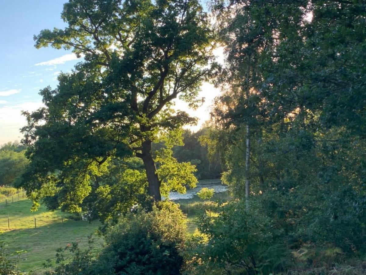 The White Pheasant Hotel Lenwade Buitenkant foto